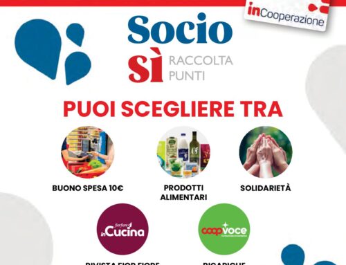 Raccolta punti 2025
